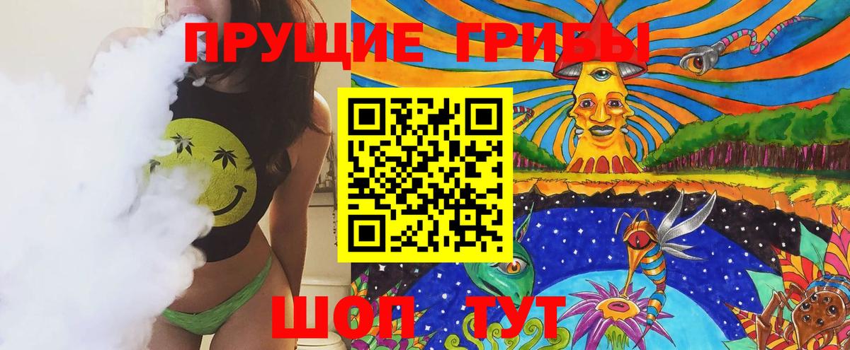 Галлюциногенные грибы Psilocybine cubensis Северск