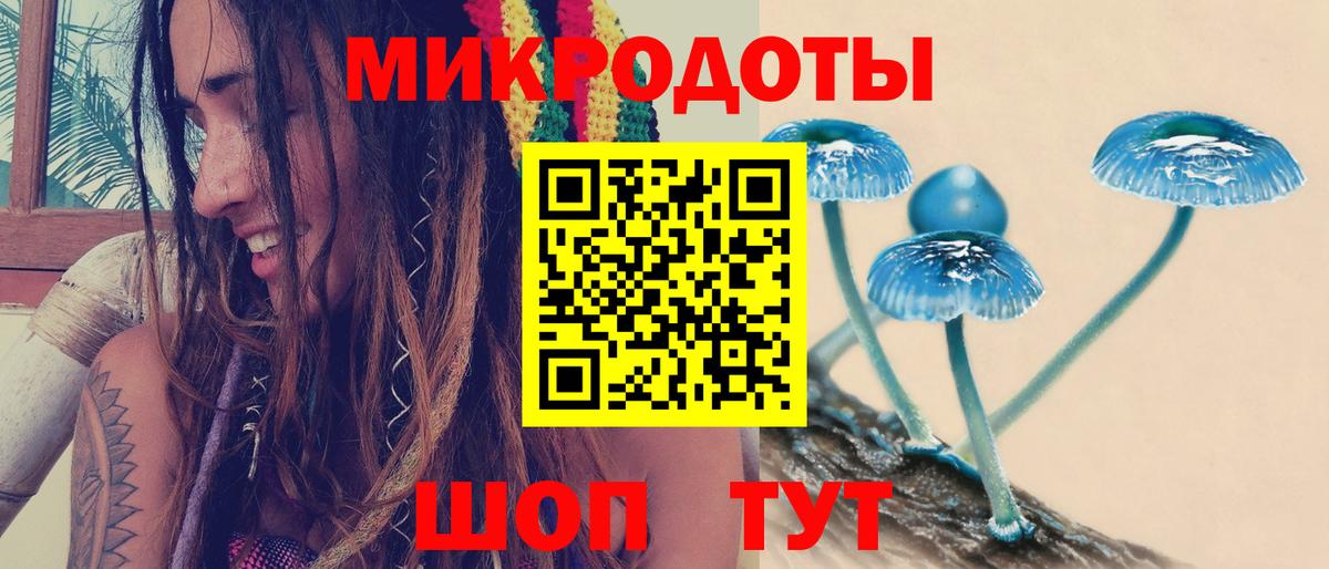 Галлюциногенные грибы MAGIC MUSHROOMS  Вход с VPN  Северск  Галлюциногенные грибы прущие грибы 